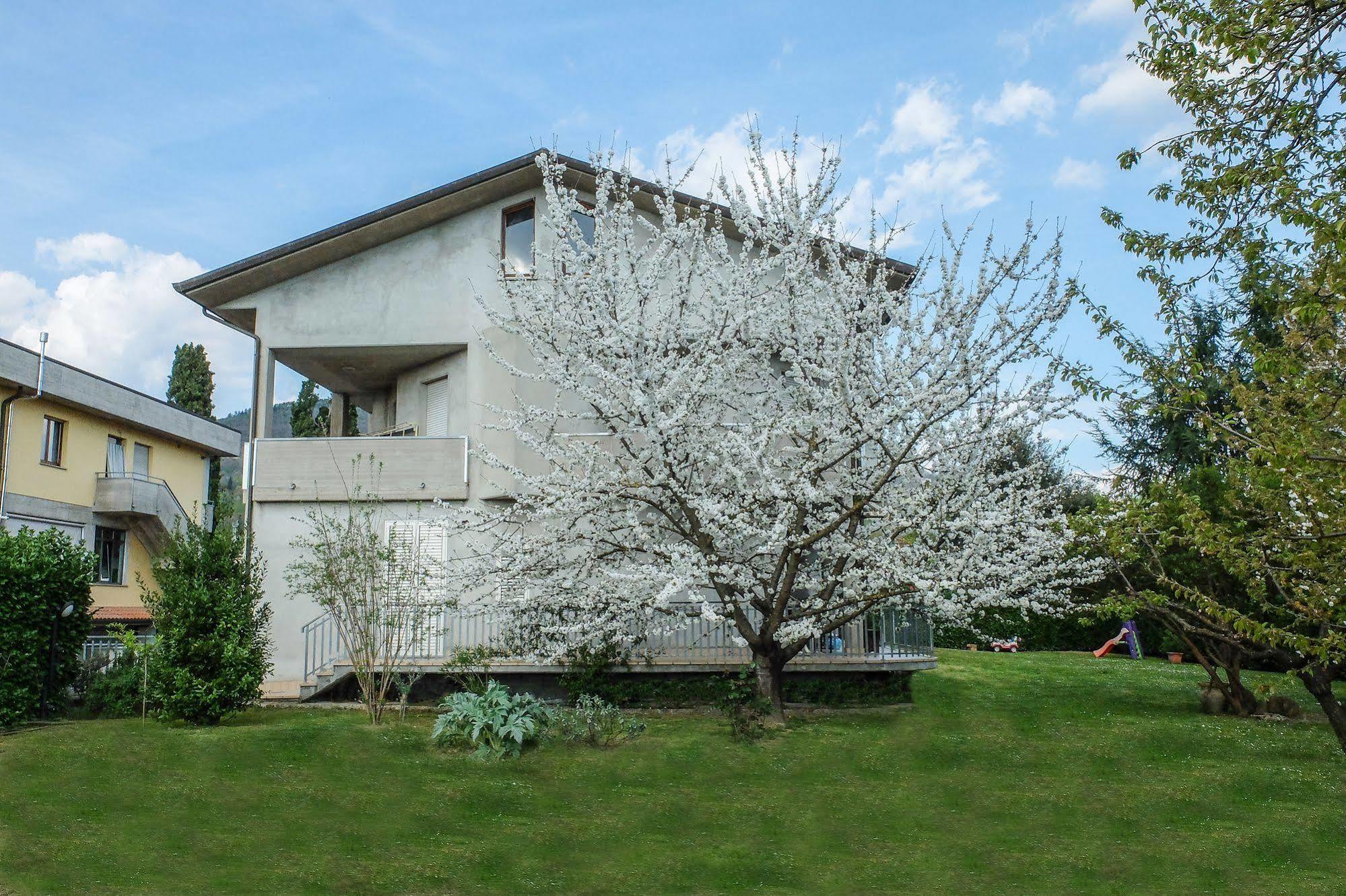 B&B I Fiori San Giustino Esterno foto